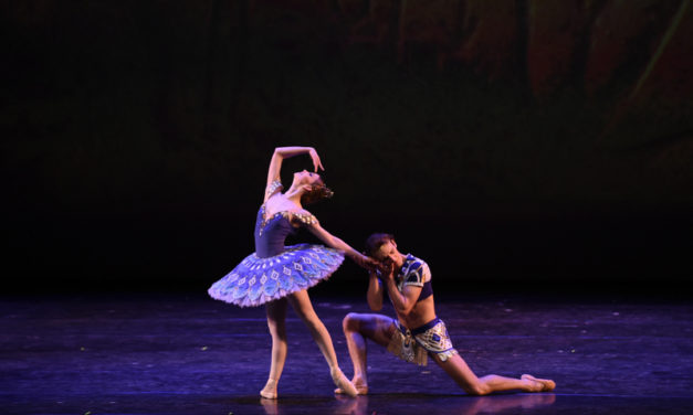 12 Características dos Ballets de Petipá