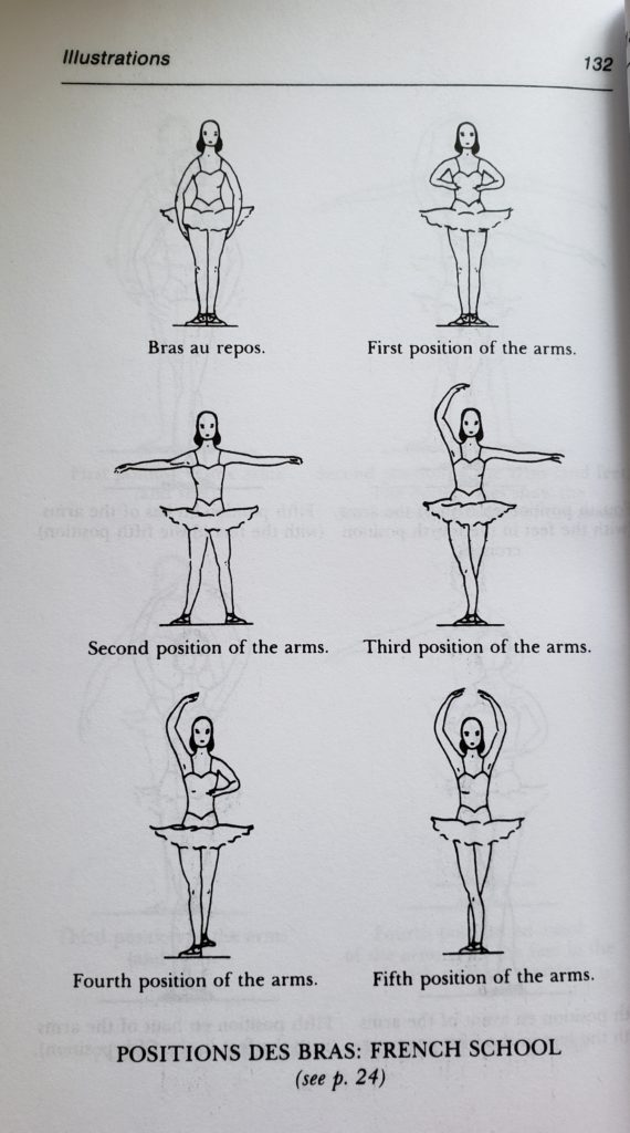 Os braços e as mãos  Dos passos da bailarina