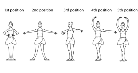 Tutu da Ju  As posições dos braços nos métodos de ballet clássico