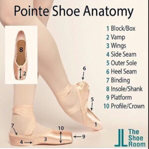 Pointe-Shoe-Anatomy